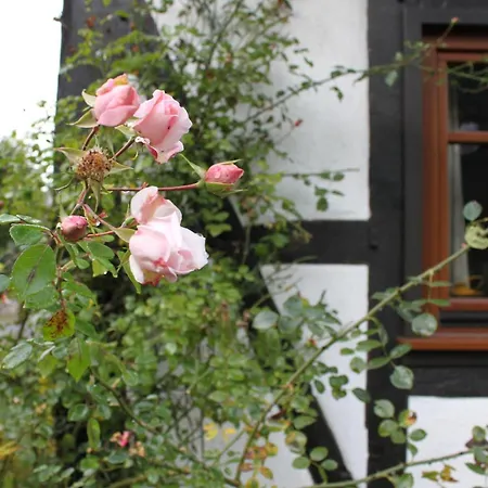 Holiday home Romantisches Fachwerkhaus Zwischen Rhein Und Mosel