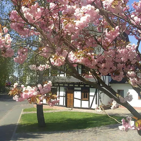 Holiday home Romantisches Fachwerkhaus Zwischen Rhein Und Mosel